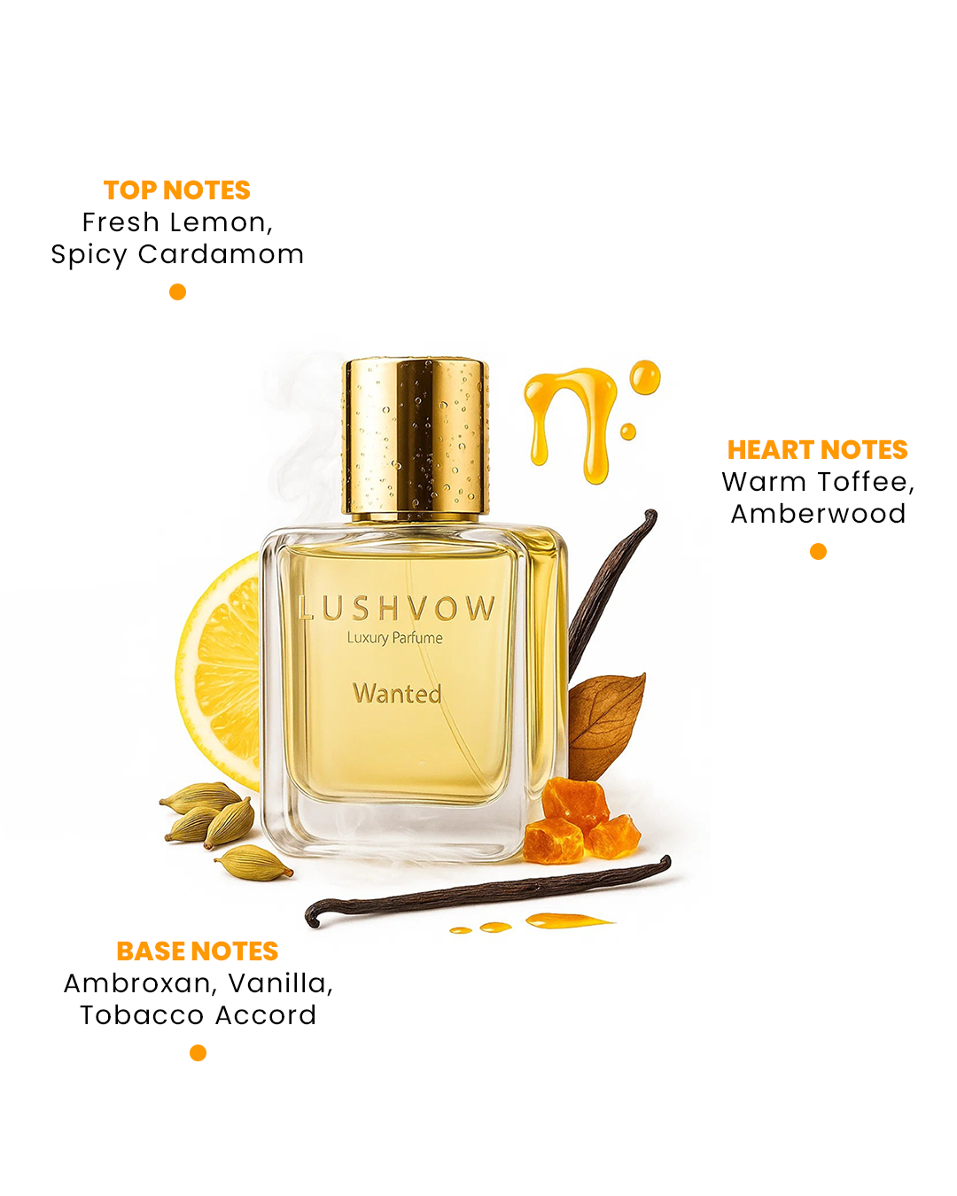 Lushvow Wanted – Luxury Perfume Inspired by Azzaro The Most Wanted, Fougere Woody Ambery Fragrance for Men - Image 2